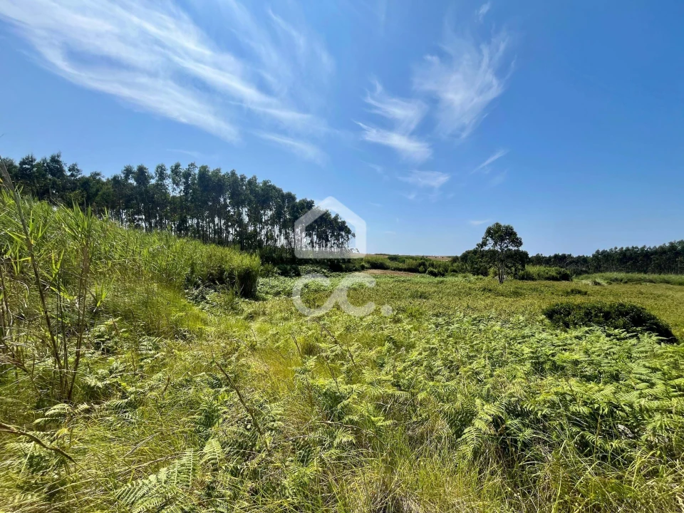 Terreno para Venda em Caldas da Rainha - Santo Onofre e Serra do Bouro Foto 10