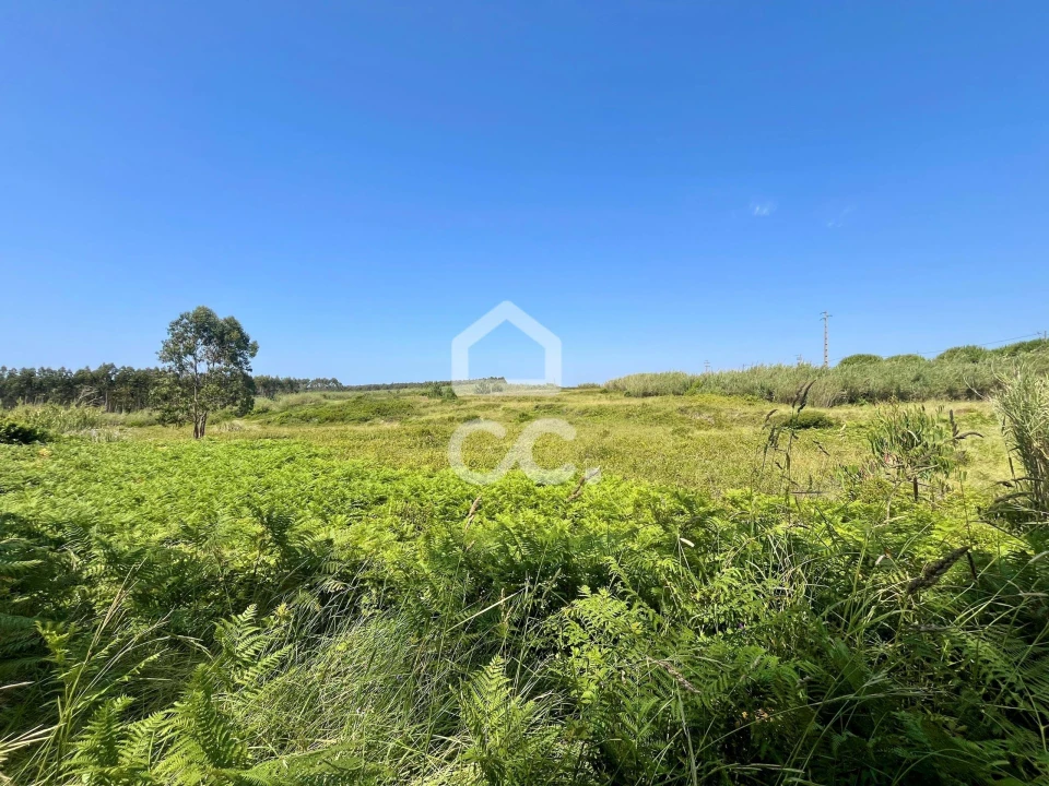 Terreno para Venda em Caldas da Rainha - Santo Onofre e Serra do Bouro Foto 13