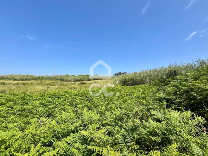 Terreno para Venda em Caldas da Rainha - Santo Onofre e Serra do Bouro Foto 20