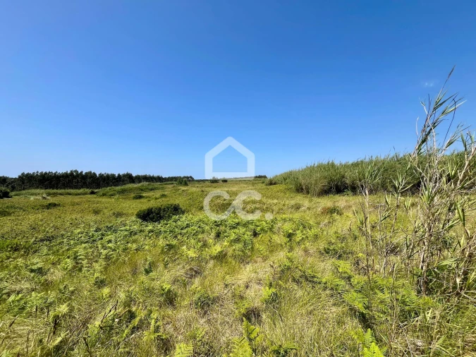Terreno para Venda em Caldas da Rainha - Santo Onofre e Serra do Bouro Foto 8