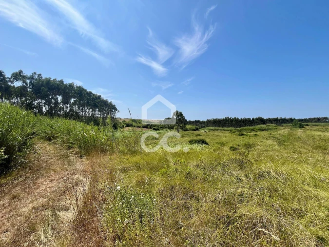 Terreno para Venda em Caldas da Rainha - Santo Onofre e Serra do Bouro Foto 2