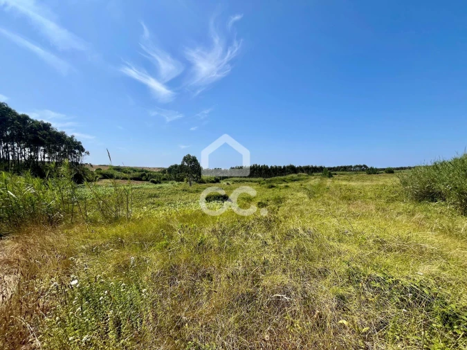 Terreno para Venda em Caldas da Rainha - Santo Onofre e Serra do Bouro Foto 3