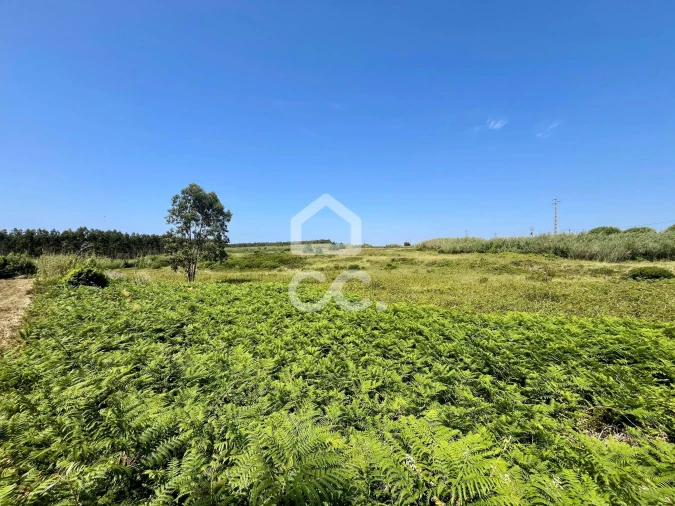 Terreno para Venda em Caldas da Rainha - Santo Onofre e Serra do Bouro Foto 23