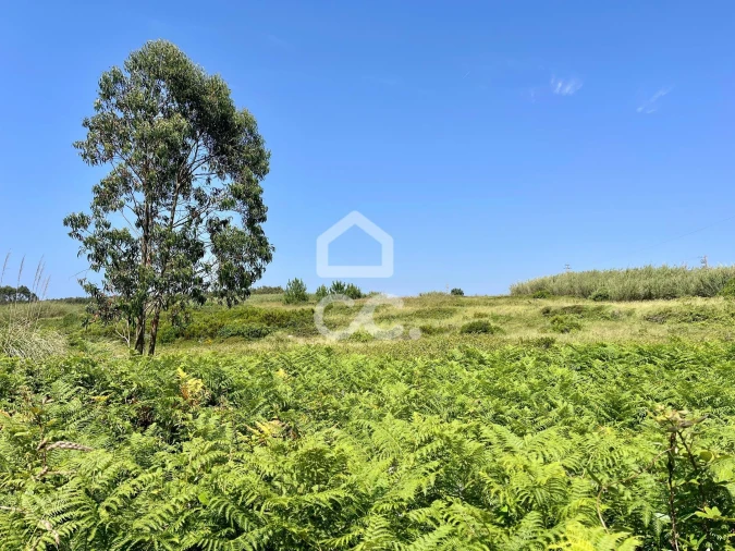 Terreno para Venda em Caldas da Rainha - Santo Onofre e Serra do Bouro Foto 17