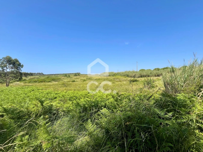 Terreno para Venda em Caldas da Rainha - Santo Onofre e Serra do Bouro Foto 14