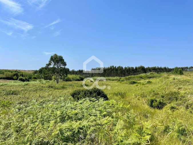 Terreno para Venda em Caldas da Rainha - Santo Onofre e Serra do Bouro Foto 7