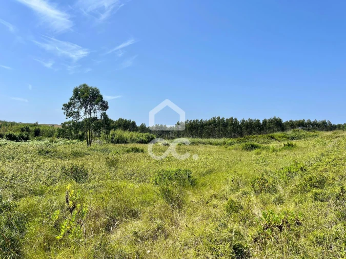 Terreno para Venda em Caldas da Rainha - Santo Onofre e Serra do Bouro Foto 6