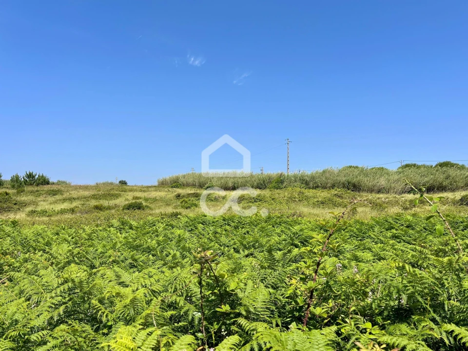 Terreno para Venda em Caldas da Rainha - Santo Onofre e Serra do Bouro Foto 18