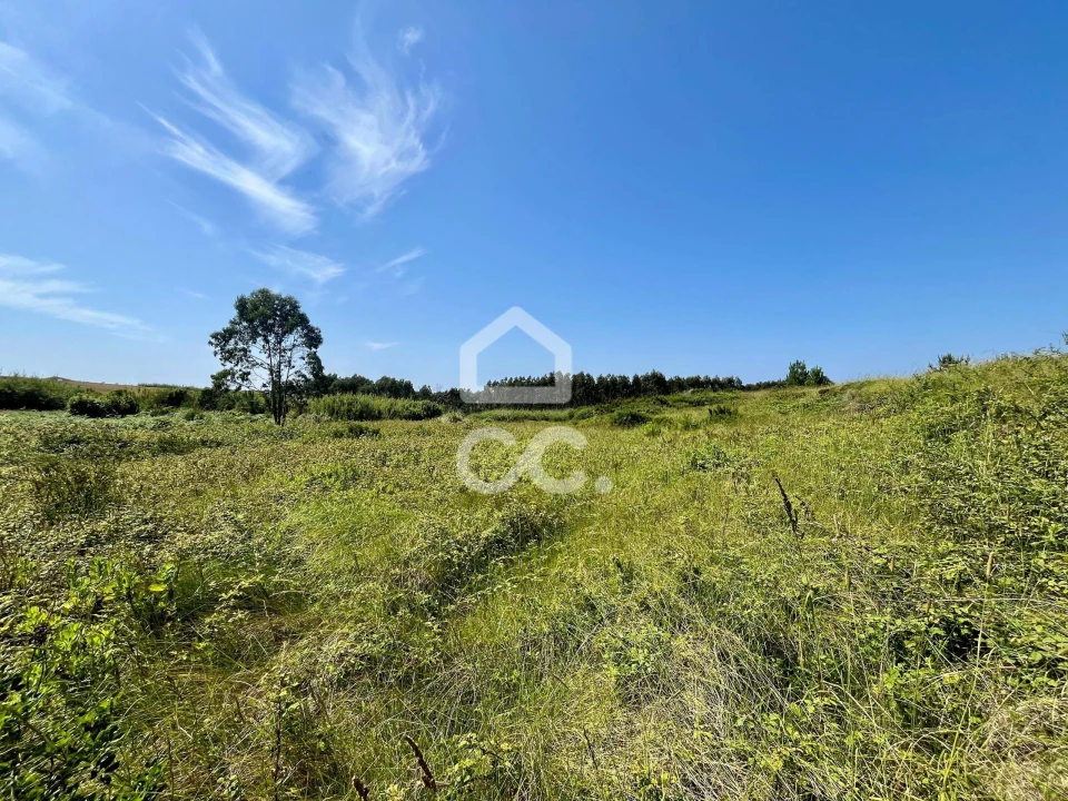 Terreno para Venda em Caldas da Rainha - Santo Onofre e Serra do Bouro Foto 5