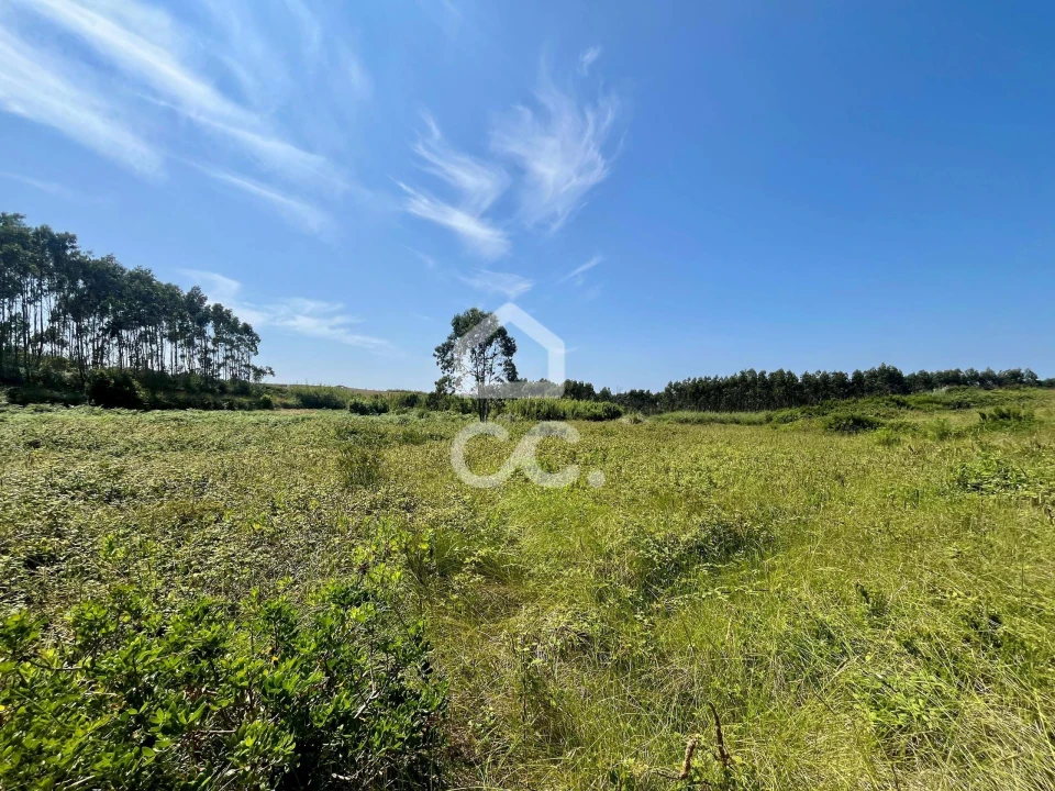Terreno para Venda em Caldas da Rainha - Santo Onofre e Serra do Bouro Foto 4