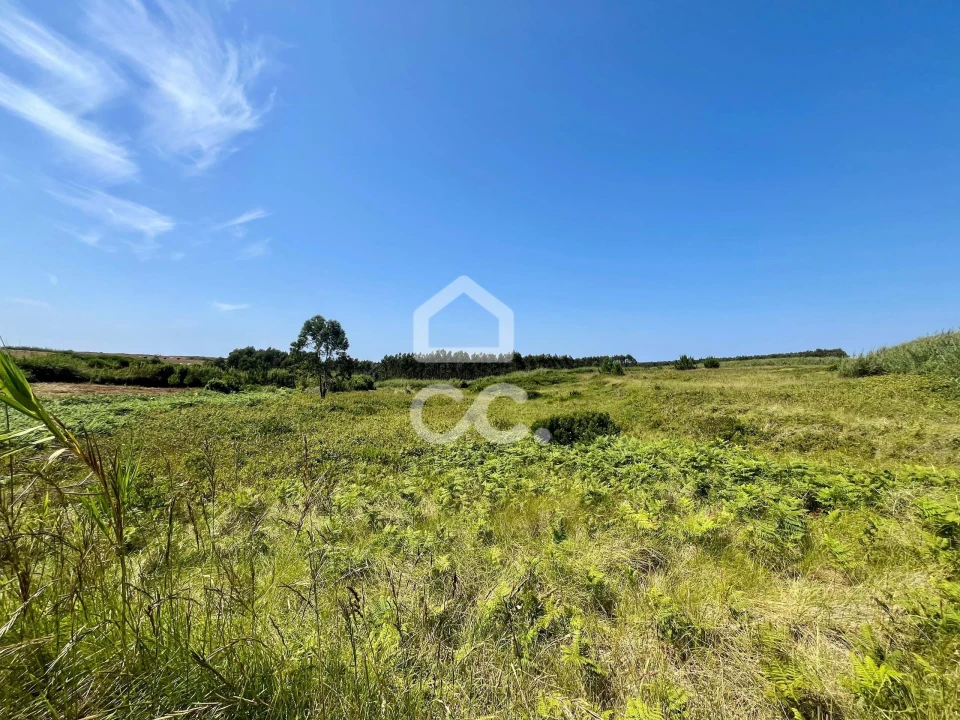 Terreno para Venda em Caldas da Rainha - Santo Onofre e Serra do Bouro Foto 12