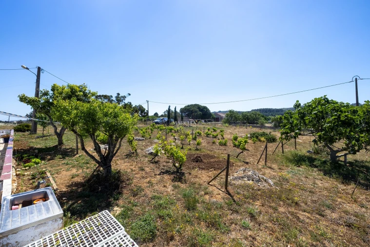 Moradia T3 para Venda em Budens Foto 29