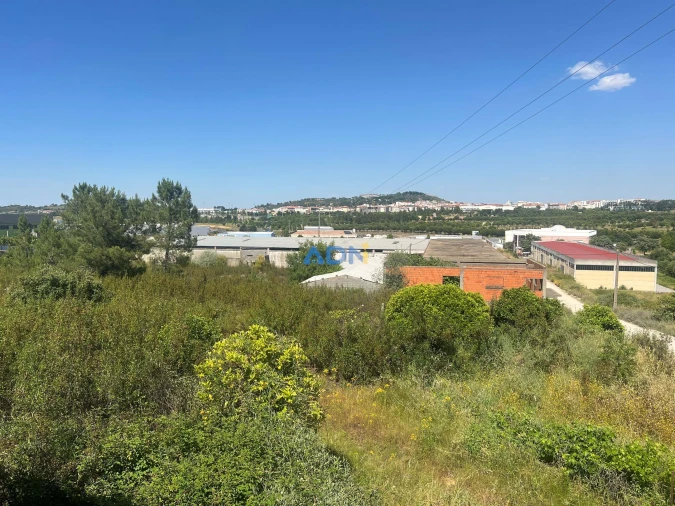 Terreno para Venda em Castelo Branco