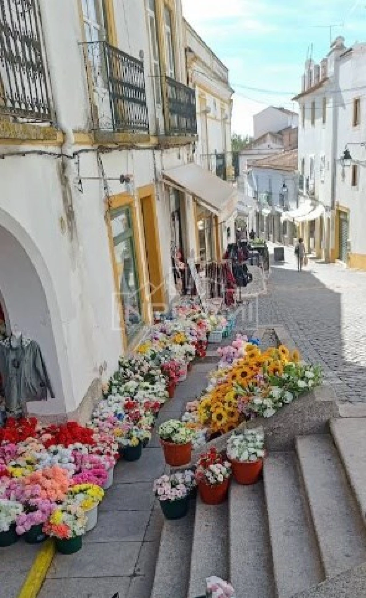 Terreno para Venda em Nossa Senhora da Conceição, São Brás dos Matos, Juromenha Foto 6