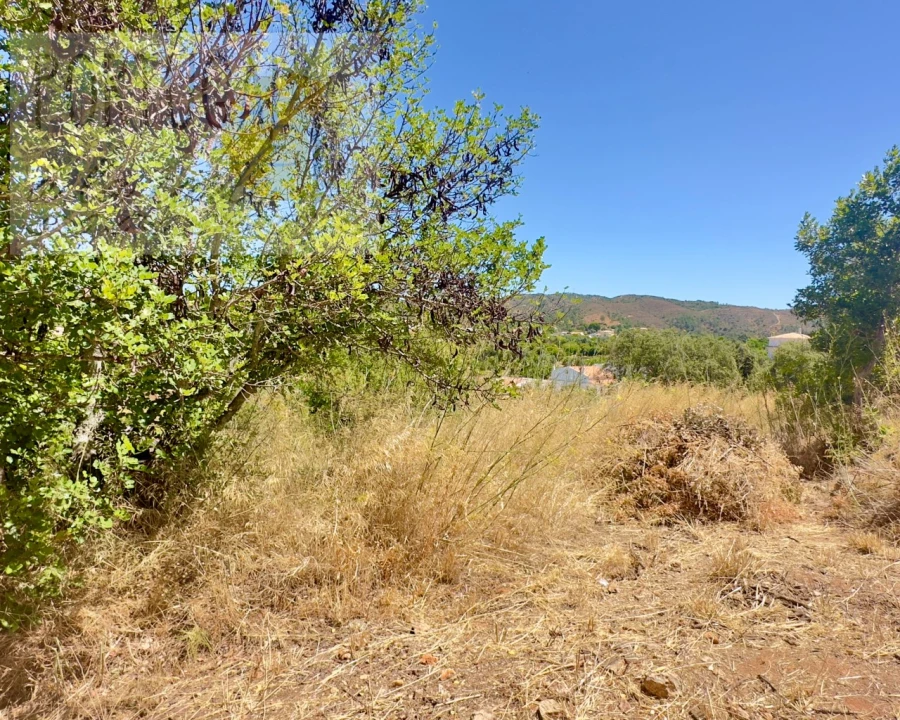 Moradia para Venda em Querença, Tôr e Benafim Foto 33