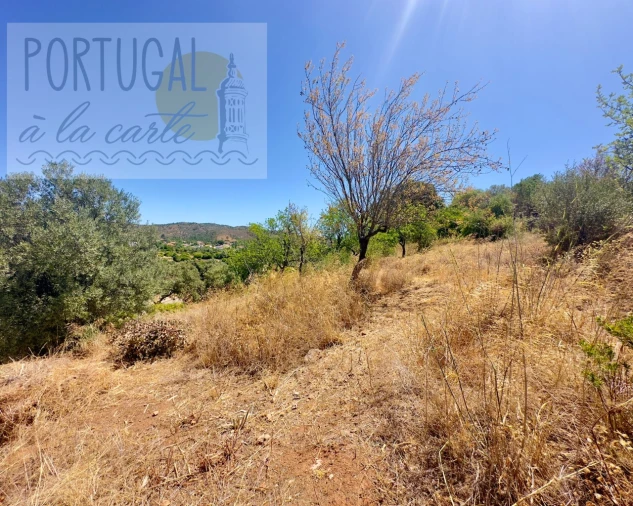 Moradia para Venda em Querença, Tôr e Benafim Foto 36