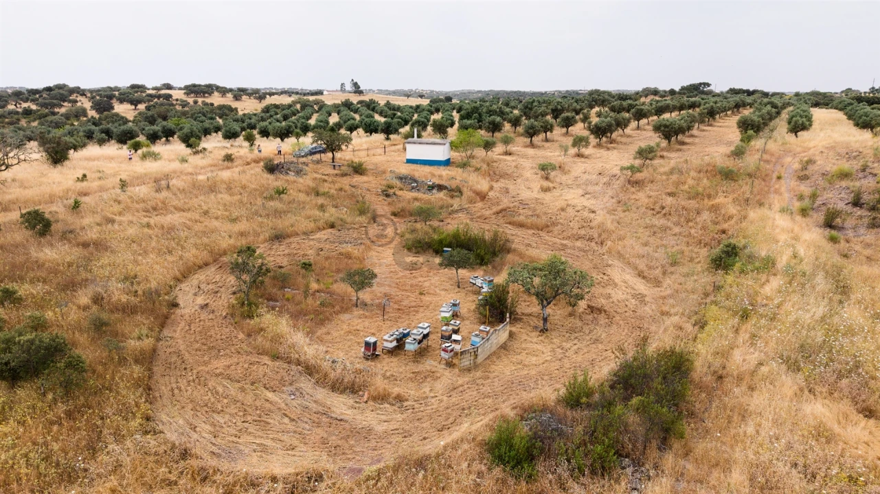 Terreno Agricola ou Rústico para Venda em Capelins (Santo Antonio) Foto 9