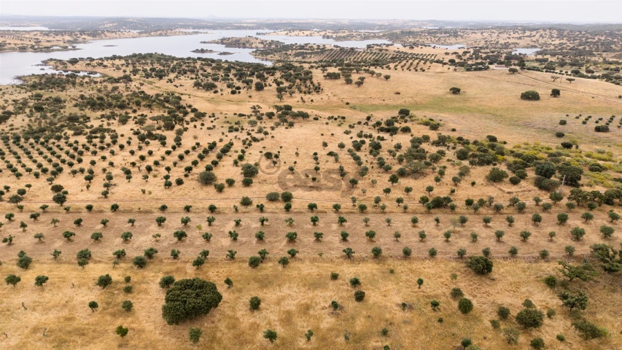 Terreno Agricola ou Rústico para Venda em Capelins (Santo Antonio) Foto 6