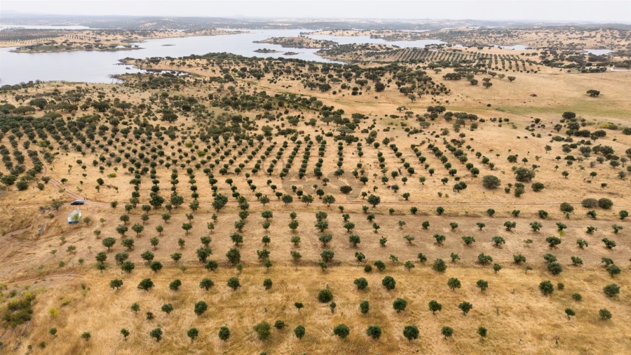 Terreno Agricola ou Rústico para Venda em Capelins (Santo Antonio) Foto 5