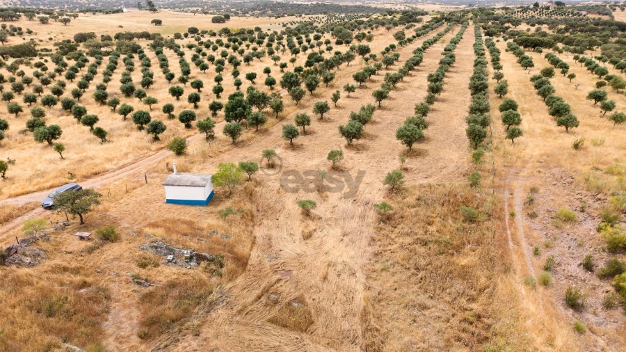 Terreno Agricola ou Rústico para Venda em Capelins (Santo Antonio) Foto 11
