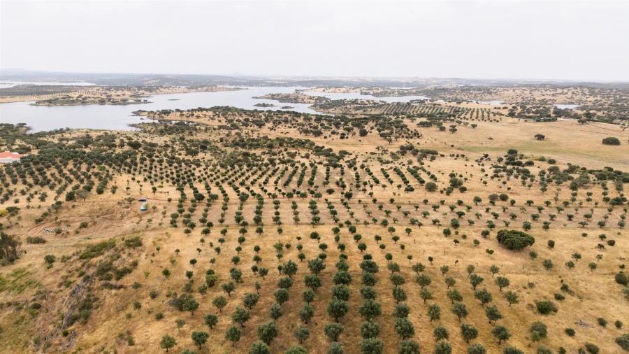 Terreno Agricola ou Rústico para Venda em Capelins (Santo Antonio) Foto 4