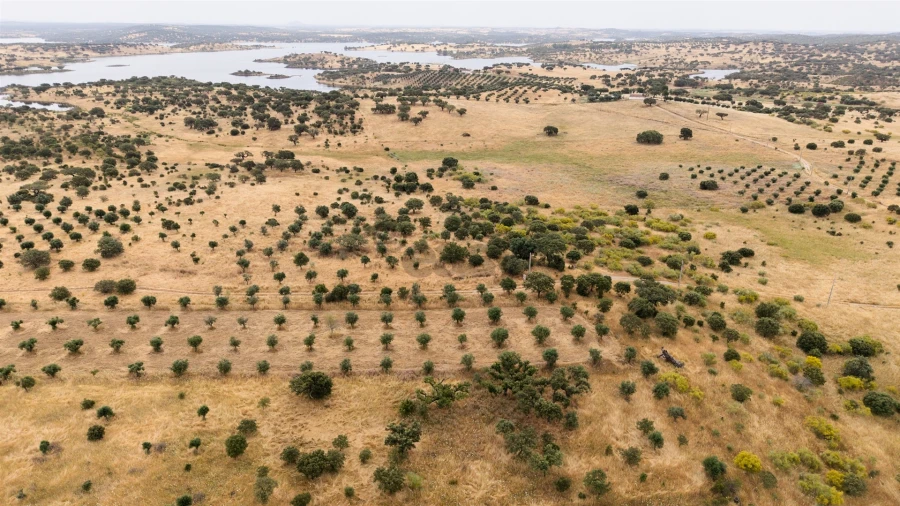Terreno Agricola ou Rústico para Venda em Capelins (Santo Antonio) Foto 8