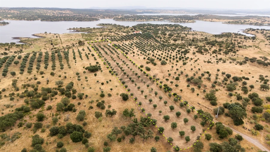 Terreno Agricola ou Rústico para Venda em Capelins (Santo Antonio)