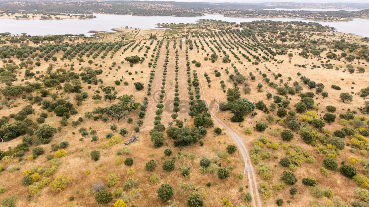 Terreno Agricola ou Rústico para Venda em Capelins (Santo Antonio) Foto 2