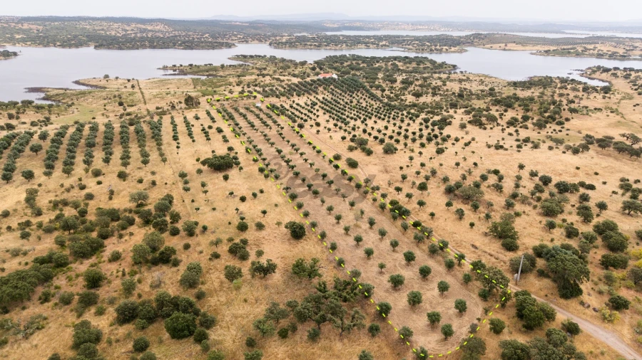 Terreno Agricola ou Rústico para Venda em Capelins (Santo Antonio)