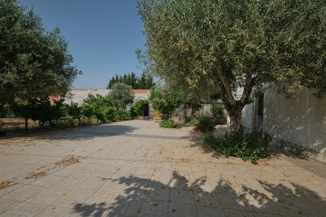 Moradia T3 para Venda em São Cristovão Foto 5