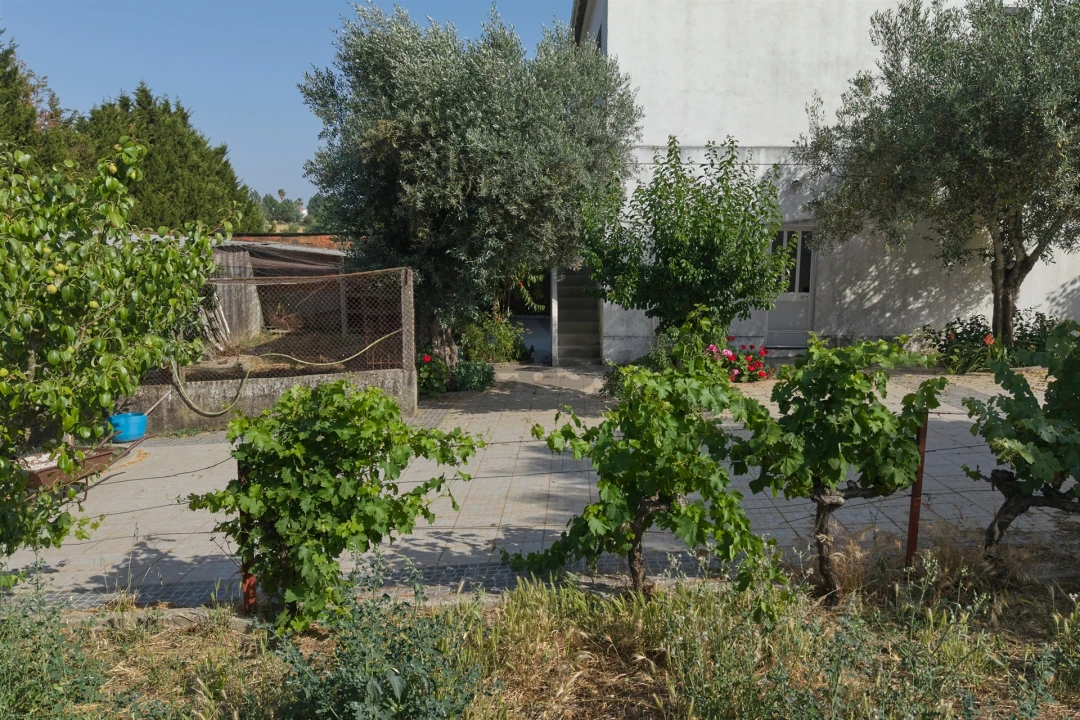 Moradia T3 para Venda em São Cristovão Foto 7