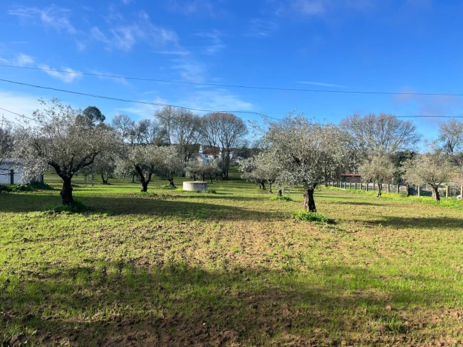 Terreno para Venda em Nossa Senhora da Vila, Nossa Senhora do Bispo e Silveiras Foto 9