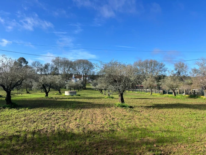 Terreno para Venda em Nossa Senhora da Vila, Nossa Senhora do Bispo e Silveiras Foto 14
