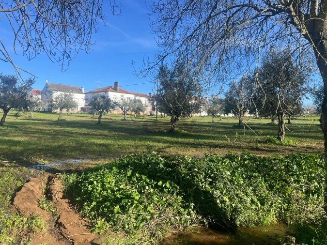 Terreno para Venda em Nossa Senhora da Vila, Nossa Senhora do Bispo e Silveiras Foto 3