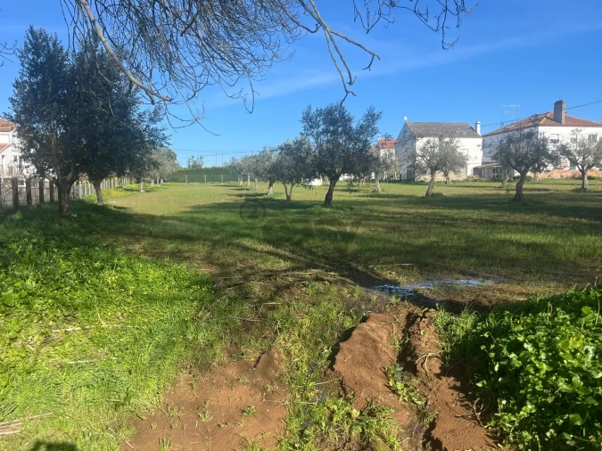 Terreno para Venda em Nossa Senhora da Vila, Nossa Senhora do Bispo e Silveiras Foto 4