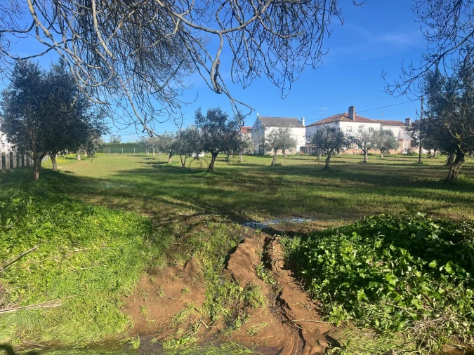 Terreno para Venda em Nossa Senhora da Vila, Nossa Senhora do Bispo e Silveiras