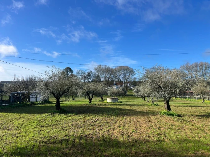 Terreno para Venda em Nossa Senhora da Vila, Nossa Senhora do Bispo e Silveiras Foto 10