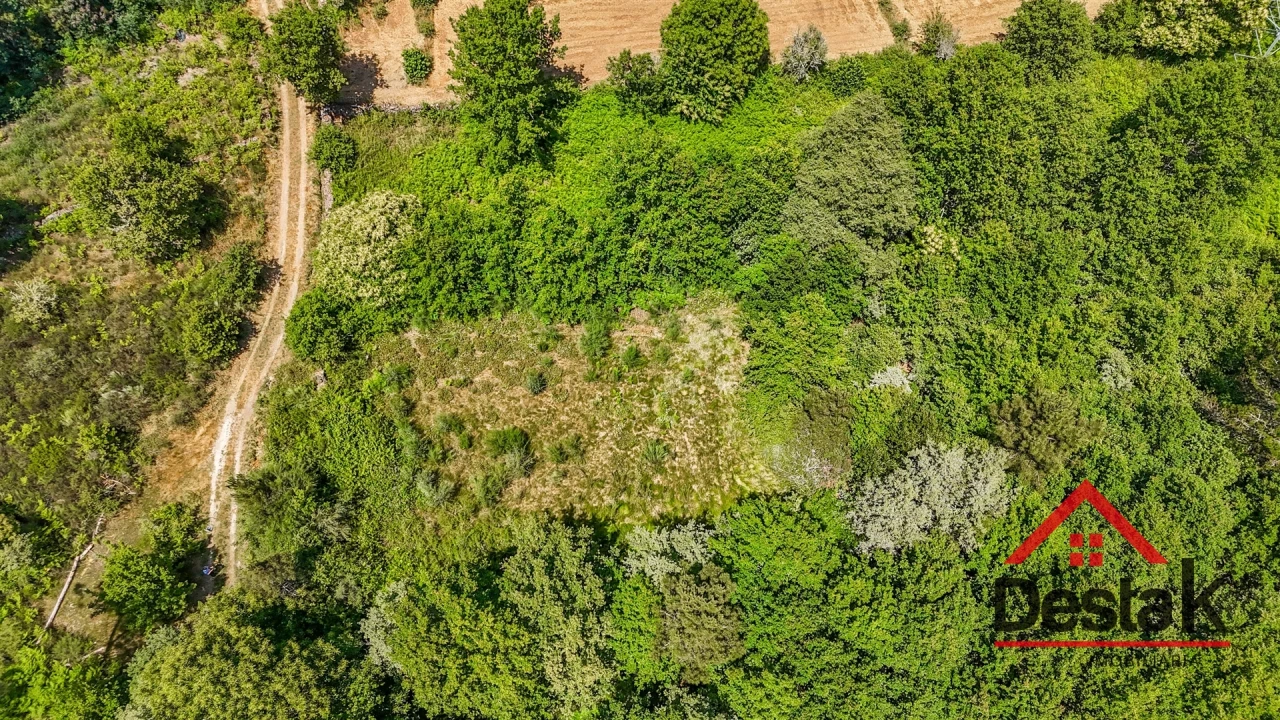 Terreno para Venda em Bodiosa Foto 5