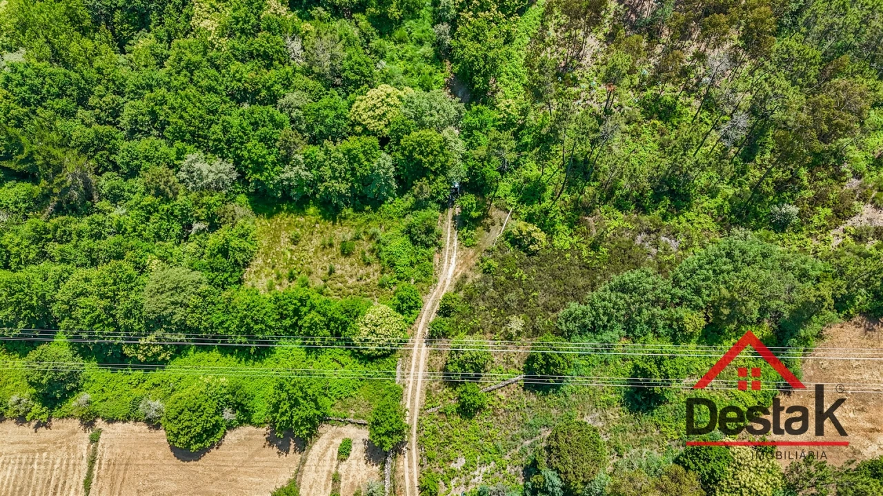 Terreno para Venda em Bodiosa Foto 15