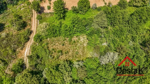 Terreno para Venda em Bodiosa