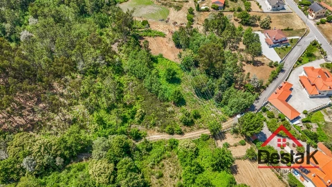 Terreno para Venda em Bodiosa