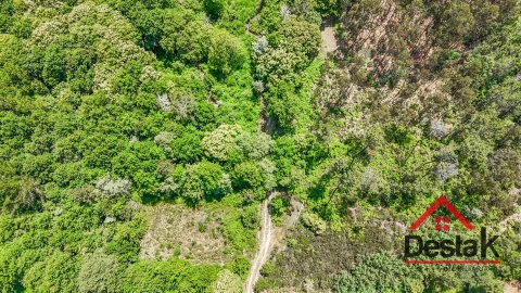 Terreno para Venda em Bodiosa