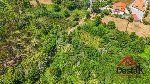 Terreno para Venda em Bodiosa