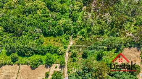 Terreno para Venda em Bodiosa