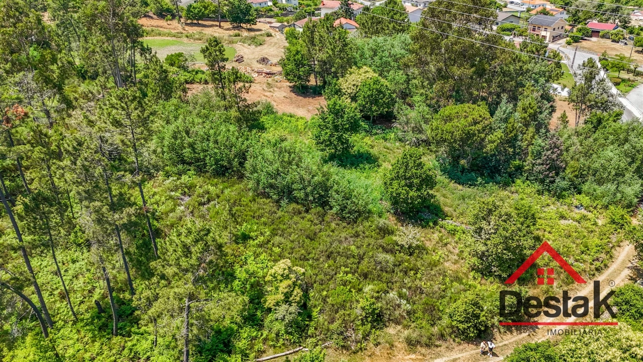 Terreno para Venda em Bodiosa Foto 11
