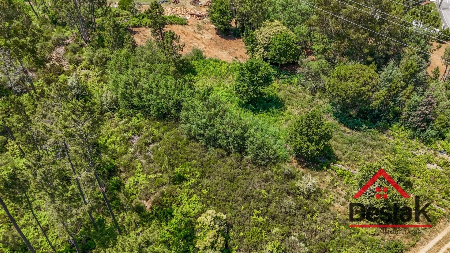 Terreno para Venda em Bodiosa Foto 10