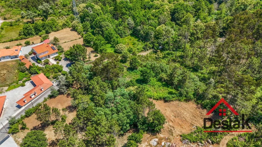 Terreno para Venda em Bodiosa Foto 12