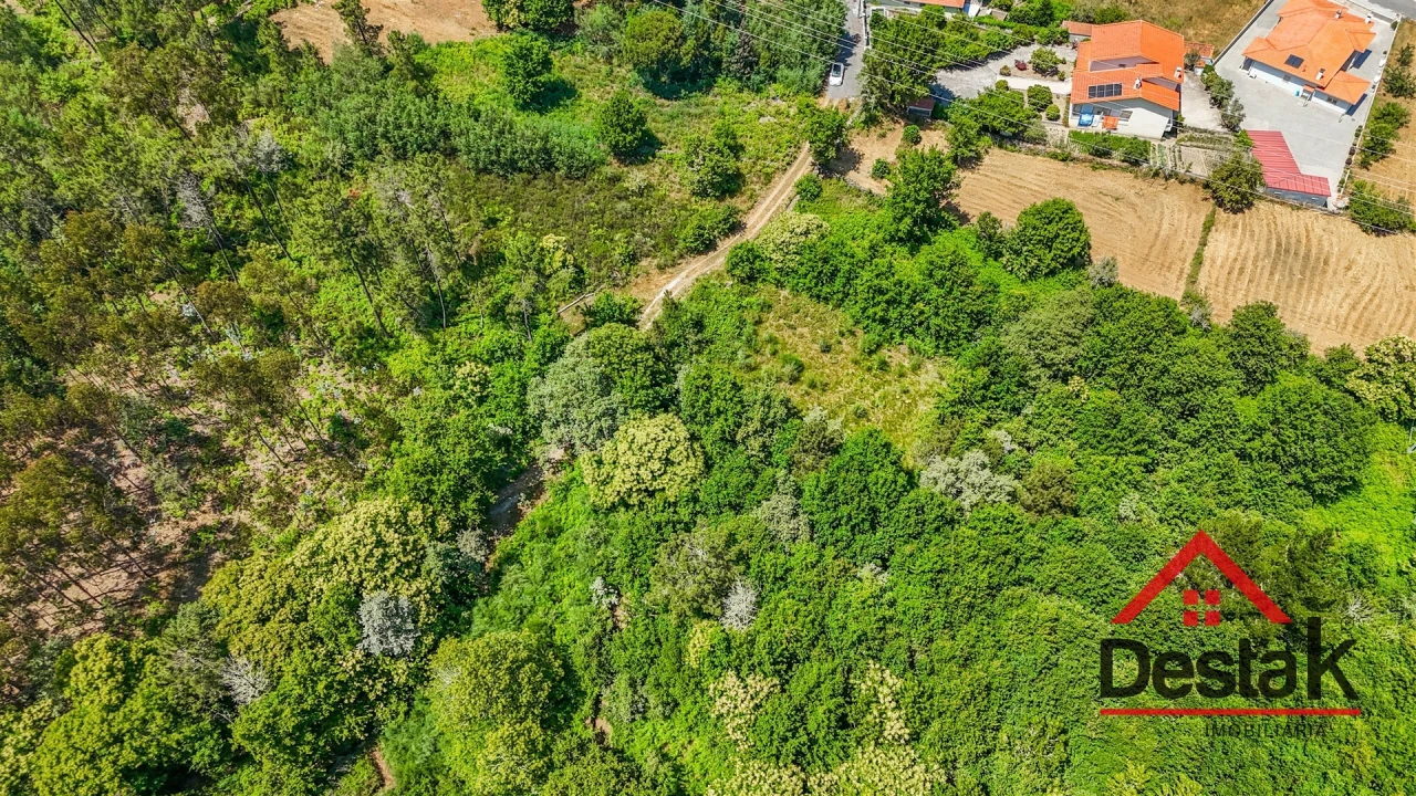 Terreno para Venda em Bodiosa Foto 8