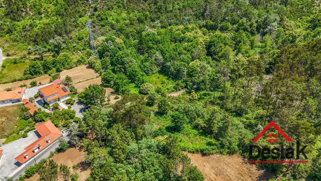 Terreno para Venda em Bodiosa Foto 13