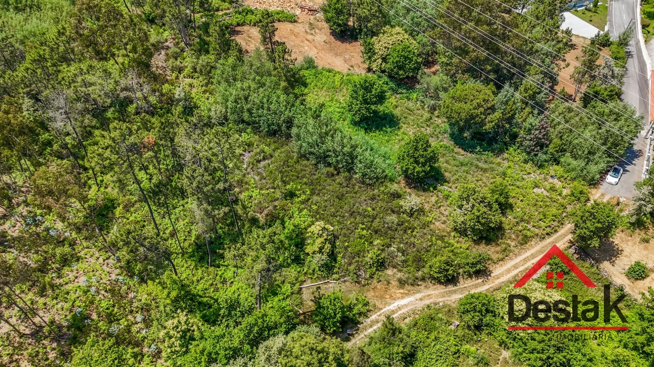 Terreno para Venda em Bodiosa Foto 4